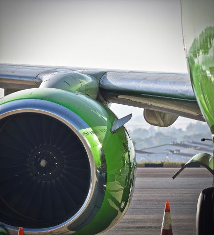 Boeing 737-800 (ZS-ZWA)
