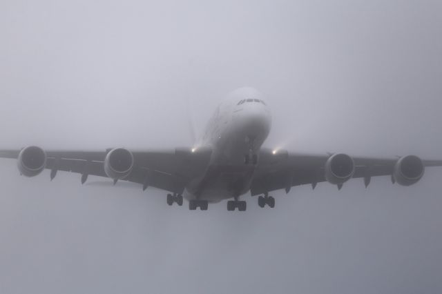 Airbus A380-800 — - The Whale pierces the early morning fog.