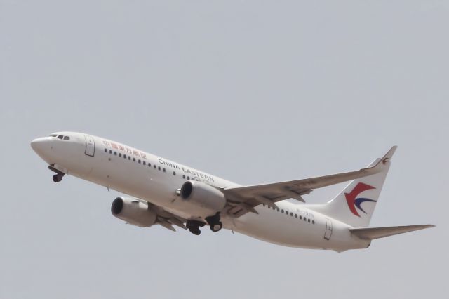 Boeing 737-800 (B-7376)