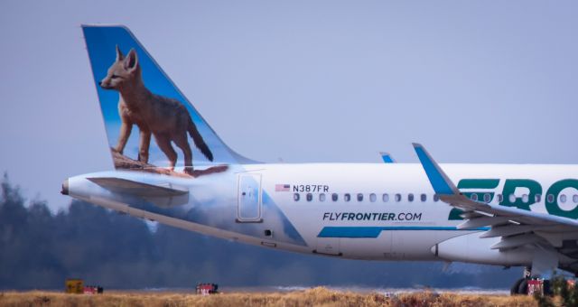 Airbus A320neo (N387FR) - PHX "Joaquin The Kit Fox"  7-27-2024