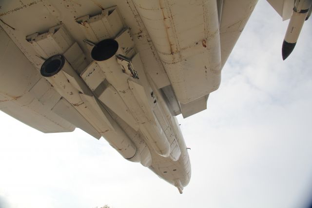 — — - F-14 Tomcat, static display at U.S. Navy Air museum, Pensacola FL