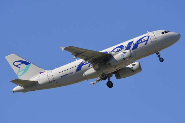 Airbus A319 (S5-AAP)