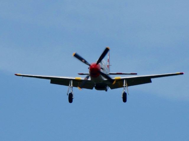 North American P-51 Mustang (N51MX)