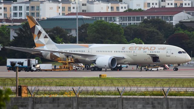 Boeing 787-9 Dreamliner (A6-PFE) - UAE President's state visit (May 2024).