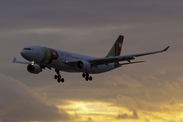 Airbus A330-300 (CS-TOG)