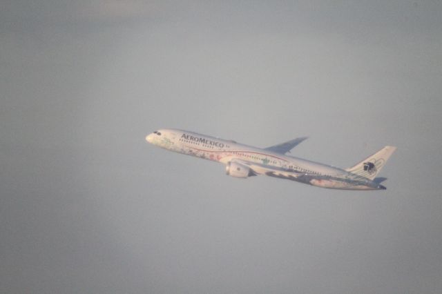 Boeing 787-9 Dreamliner (XA-ADL) - DEPARTURE FROM 27 MMTJ