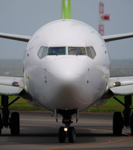 Boeing 737-800 (JA813X)