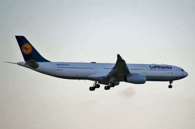 Airbus A330-300 (D-AIKF)