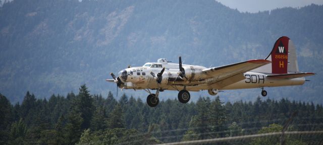 Boeing B-17 Flying Fortress (N5017N)