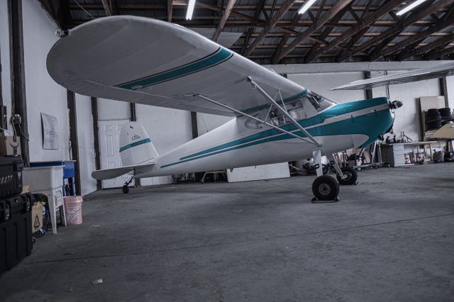 Cessna 140 (N89033)