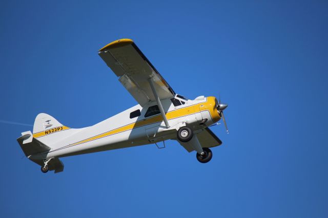 De Havilland Canada DHC-2 Mk1 Beaver (N522PJ)