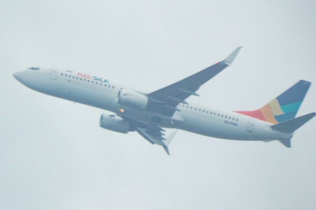 Boeing 737-800 (SU-RSB)
