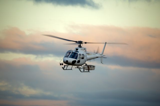 Eurocopter AS-350 AStar (VH-LGG)
