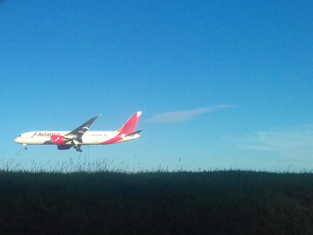 Boeing 787-8 (N780AV)