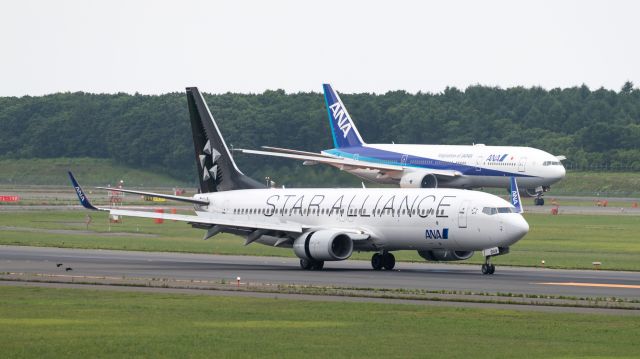 Boeing 737-800 (JA51AN) - 全日空 - All Nippon Airways [NH/ANA] / Boeing 737-881br /“Star Alliance Livery”br /Jul.17.2017 New Chitose Airport [CTS/RJCC] JAPAN