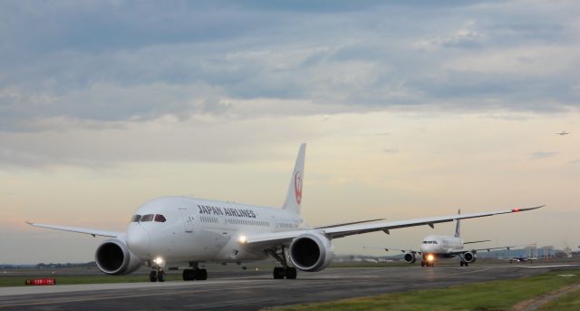 Boeing 787-8 (JA825J)
