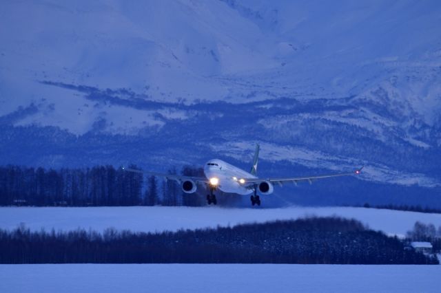 Airbus A330-300 (B-HLM)