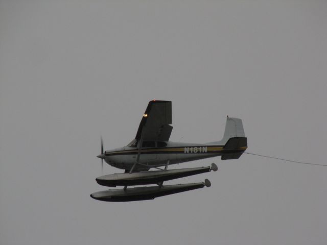 Cessna Skywagon 180 (N181N)
