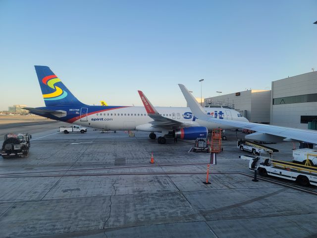 Airbus A320 (N637NK) - Spirit A320 at Gate 54A, LAX, waiting to load.