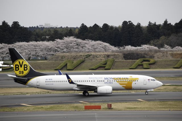 Boeing 737-800 (JU-1015) - Taxing at Narita Intl Airport on 2017/04/10