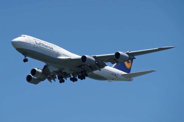BOEING 747-8 (D-ABYU) - Boeing 747-830, Lufthansa, D-ABYU, 3.June 2025, SFO San Francisco Intl., Coyote Point