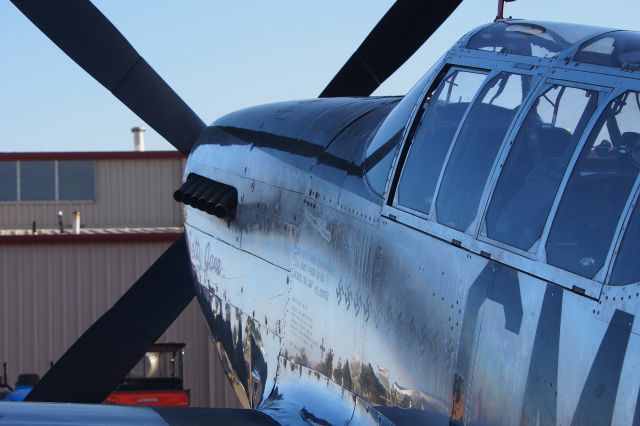 North American P-51 Mustang (N251MX)