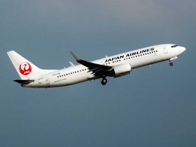 Boeing 737-800 (JA315J)