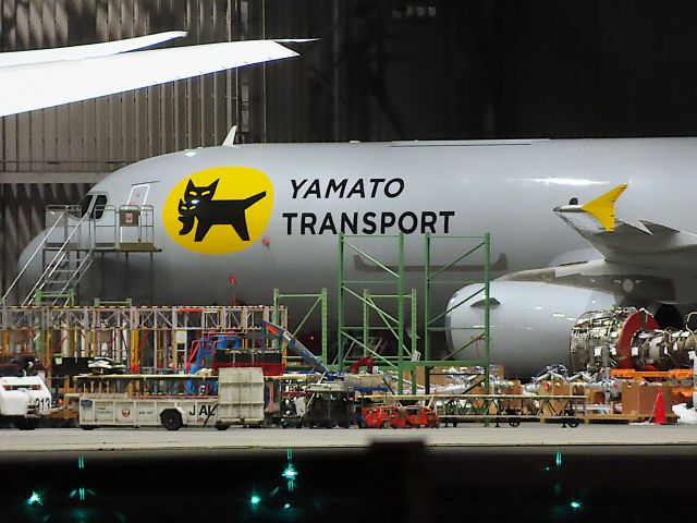 Airbus A321 (F-WTAX) - Photo taken on Nov 07, 2023.br /FDZ007/06 TPE-NRTbr /Yamato Holdings plans to begin operations in April 2024,br /It is an Airbus A321-231 (P2F) of F-WTAX, which is a former QR A7-AIA converted to a frater, and will be registered as JA81YA.