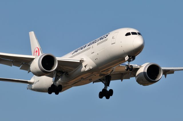 Boeing 787-8 (JA829J) - 2015/1/11