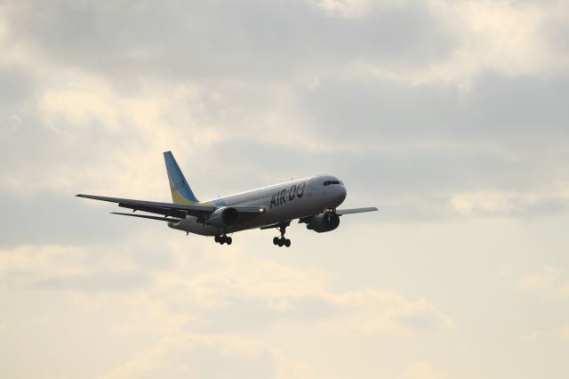 BOEING 767-300 (JA98AD) - March 12th 2020:HND-HKD.