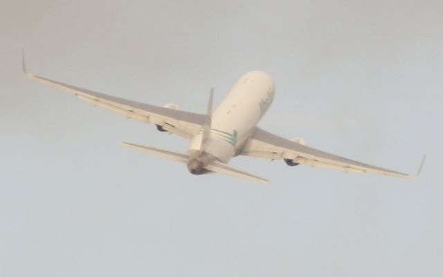 BOEING 767-300 (N420LA)
