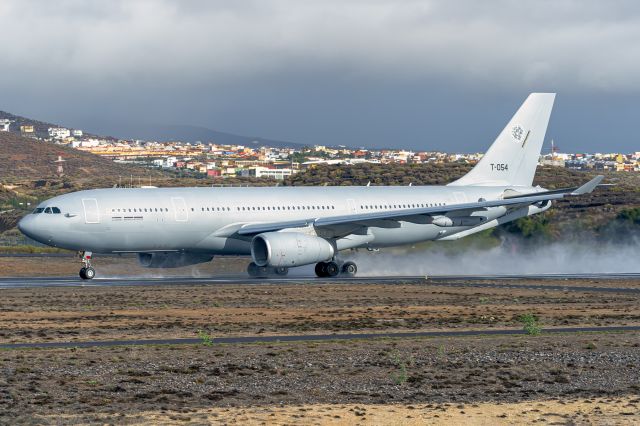 Airbus A330-300 (T054)