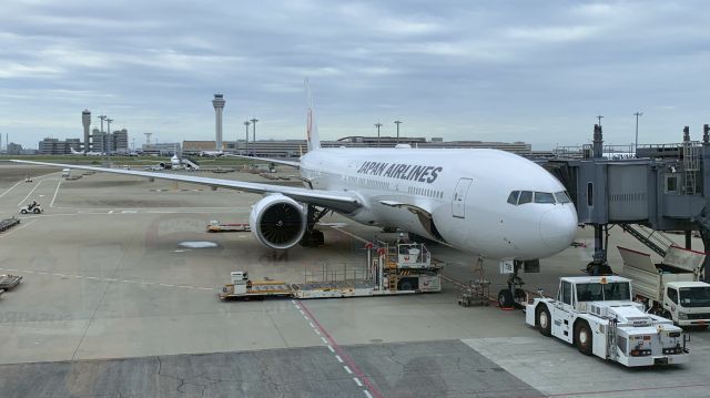 BOEING 777-300ER (JA739J) - Taken on May 8, 2023