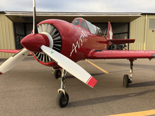 YAKOVLEV Yak-52 (N52XS)