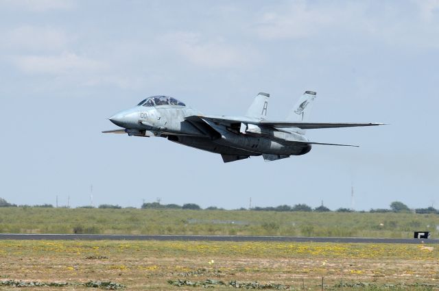 Grumman F-14 Tomcat (AWEF) - Low Pass