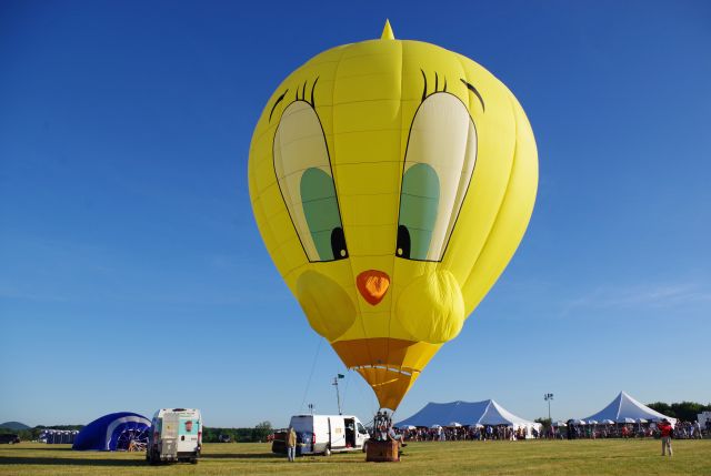 Unknown/Generic Balloon (N542YB) - SOLBERG AIRPORT-READINGTON, NEW JERSEY, USA-JULY 30, 2022: One of the special shape balloons seen by RF at this year's 39th Annual New Jersey Festival of Ballooning was Tweety Bird, registration number N542YB.