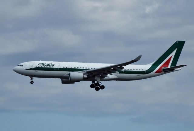 Airbus A330-200 (EI-EJN) - Final approach at NRT R/W34R (2017/01/10)