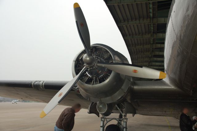 Douglas DC-3 (D-CXXX)