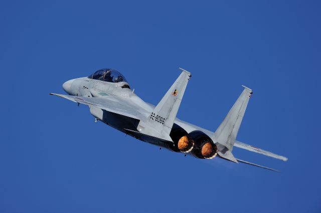 McDonnell Douglas F-15 Eagle (82-8066) - JASDF(Japan Air Self-Defense Force）<br>Nyutabaru Air Self-Defense Force Base "Air Festival"