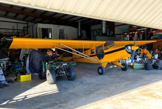 Piper L-21 Super Cub (N74KL)