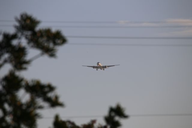 BOEING 777-300ER (HL7204)