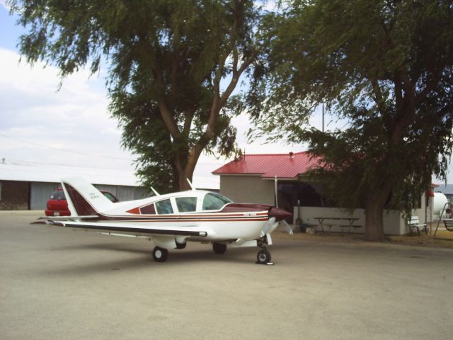 BELLANCA Viking (N28191)