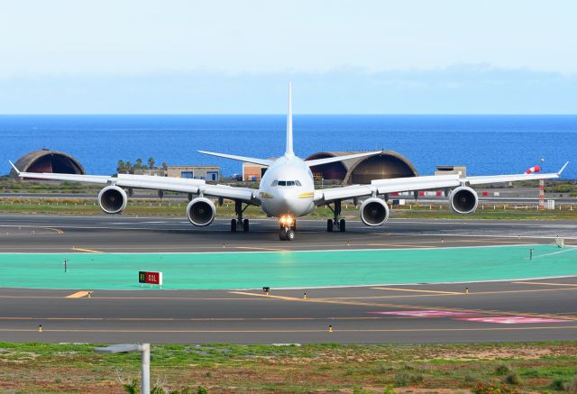 Airbus A340-600 (HZ-SKY)