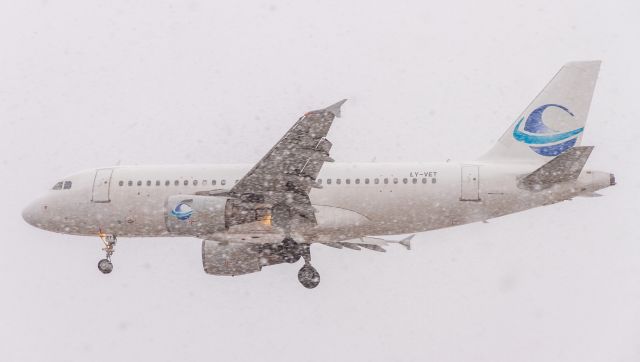 Airbus A319 (LY-VET)