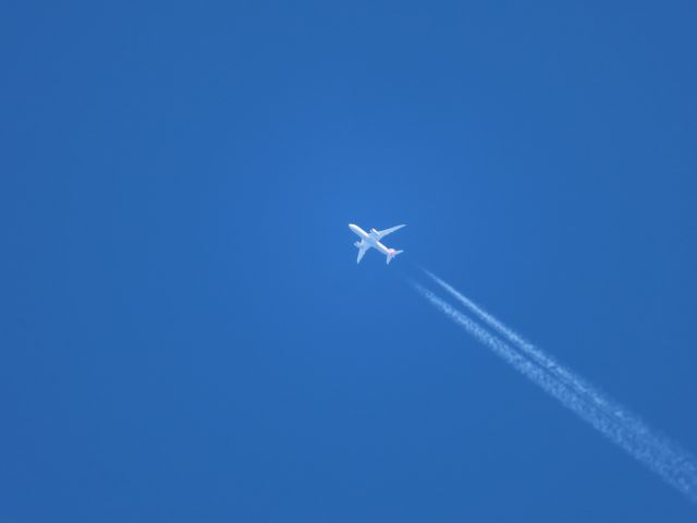 Boeing 787-8 (N803AL) - AA Boeing 787-8 en route to PHOG at 38,000 ft