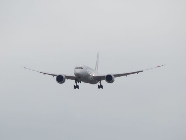 Boeing 787-8 (JA827J) - First JAL 787 at San Diego. Inaugural Tokyo-San Diego flight. There were lots of other spotters there to see this event. I was happy to get a shot of this aircraft with its incredible wing flex. When you view this picture as medium and large, it looks blurry, but looks better when viewed full.