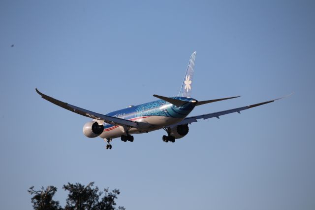 Boeing 787-9 Dreamliner (F-OVAA)