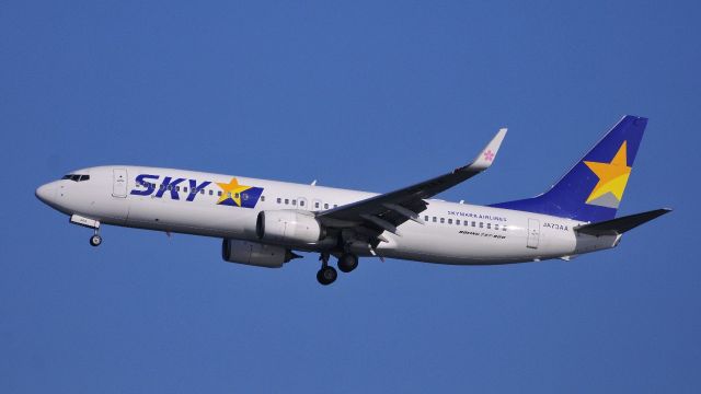 Boeing 737-800 (JA73AA)