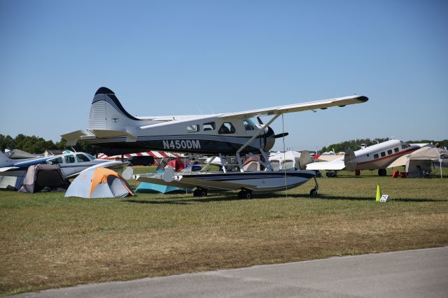 De Havilland Canada DHC-2 Mk1 Beaver (N450DM)