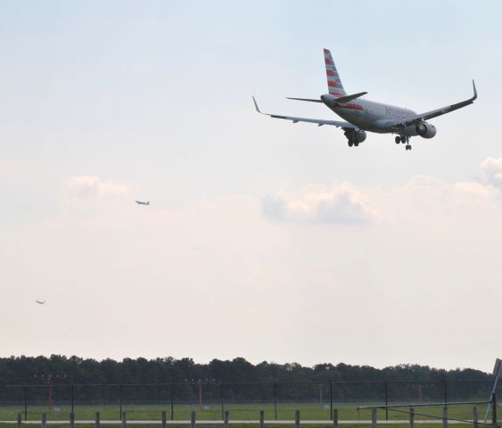 Airbus A319 (N9016)